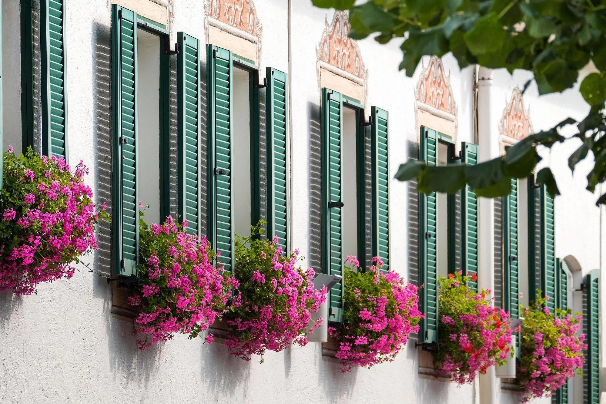 Hotel Apartment Das Au- Gut Hallein Exteriér fotografie