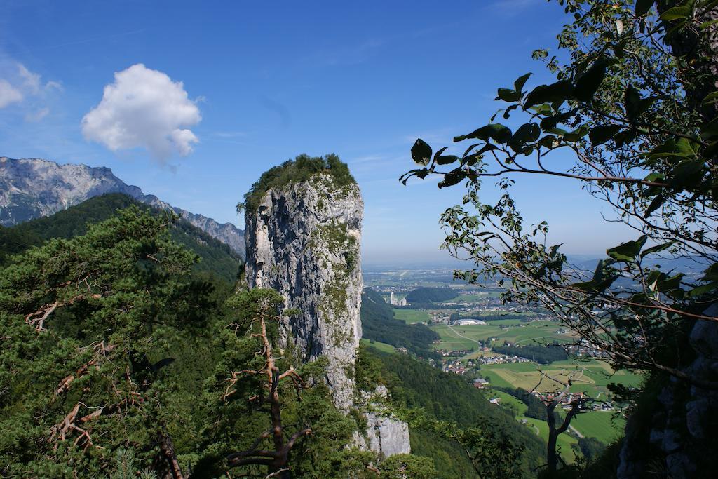 Hotel Apartment Das Au- Gut Hallein Exteriér fotografie